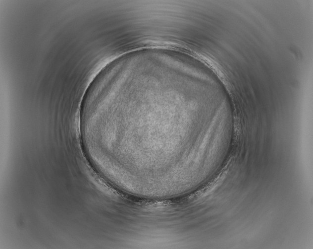 X0000111680891200908071422