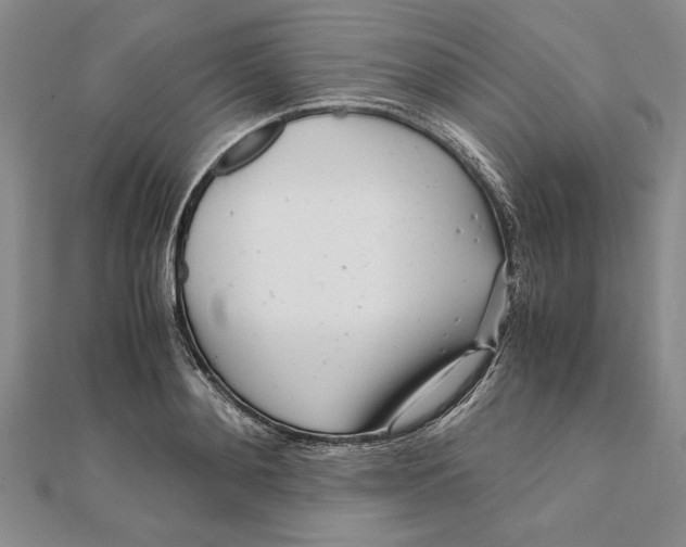 X0000111680892200908071422