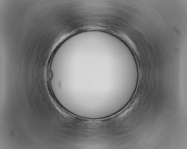 X0000111680893200908071422