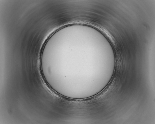 X0000111680896200908071422