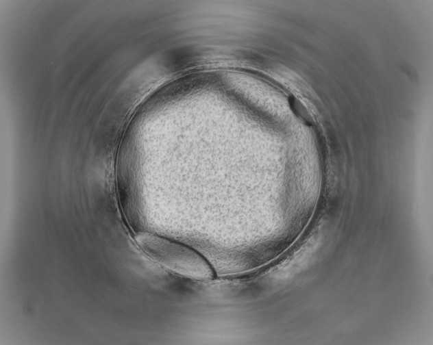 X0000111680897200908071422