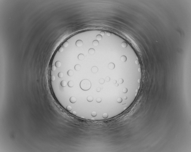 X0000111680899200908071422