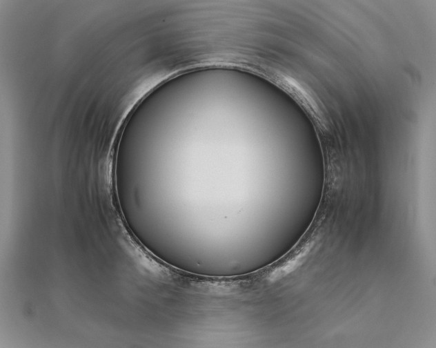 X0000111680900200908071422