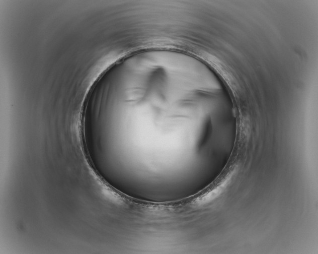 X0000111680901200908071422