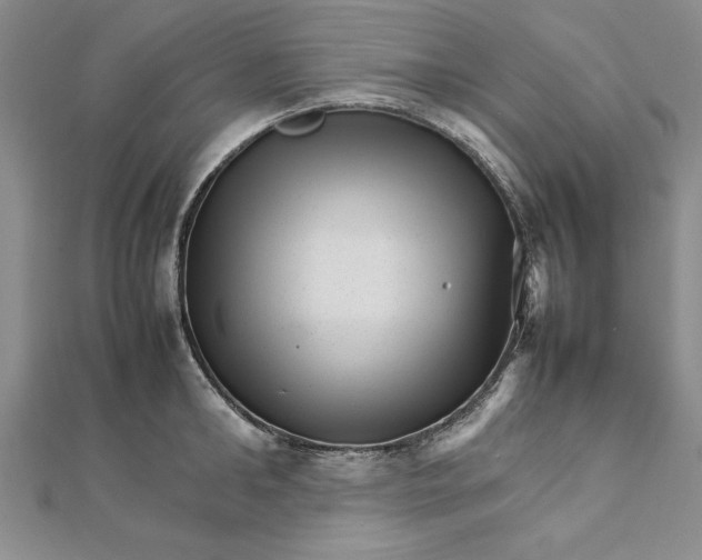 X0000111680902200908071422