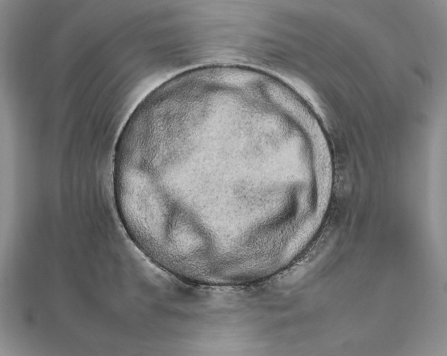 X0000111680903200908071422