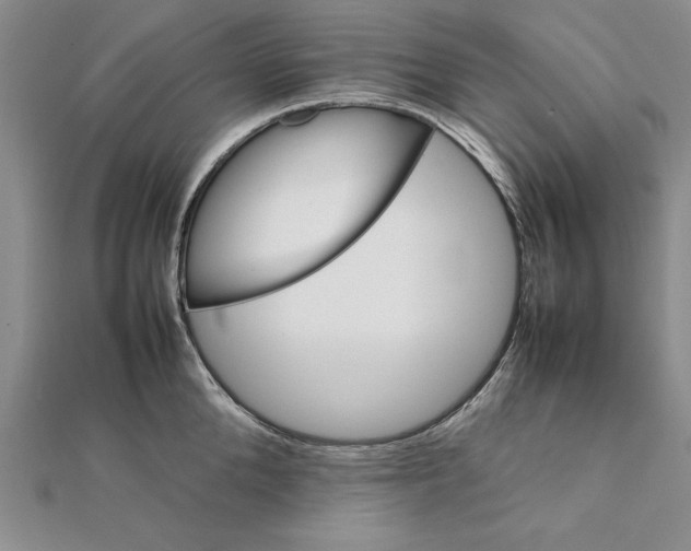 X0000111680904200908071422