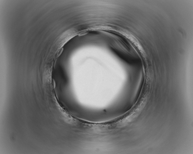 X0000111680905200908071422