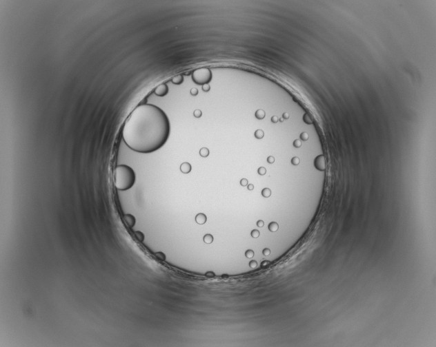 X0000111680906200908071422