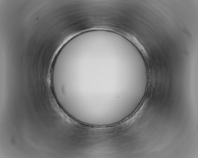 X0000111680908200908071422