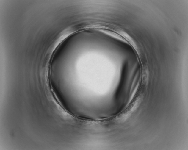 X0000111680909200908071422