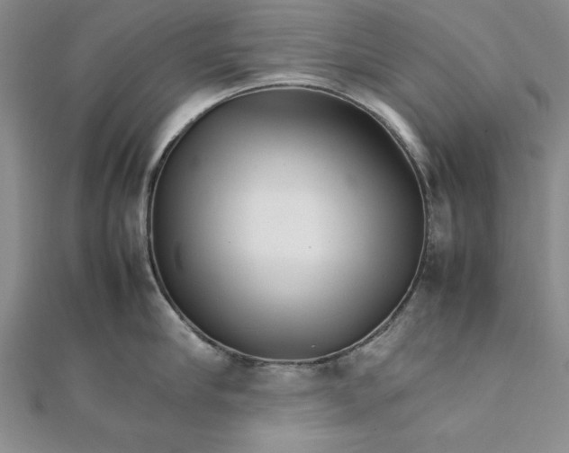 X0000111680910200908071422