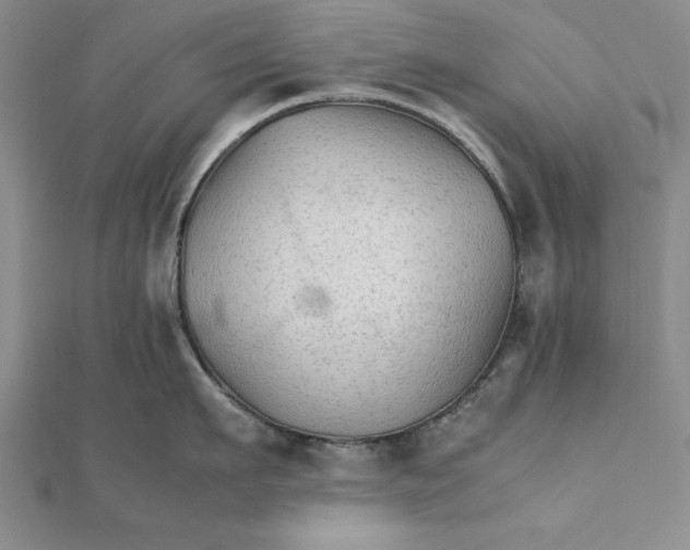 X0000111680911200908071422