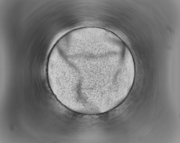 X0000111680912200908071422