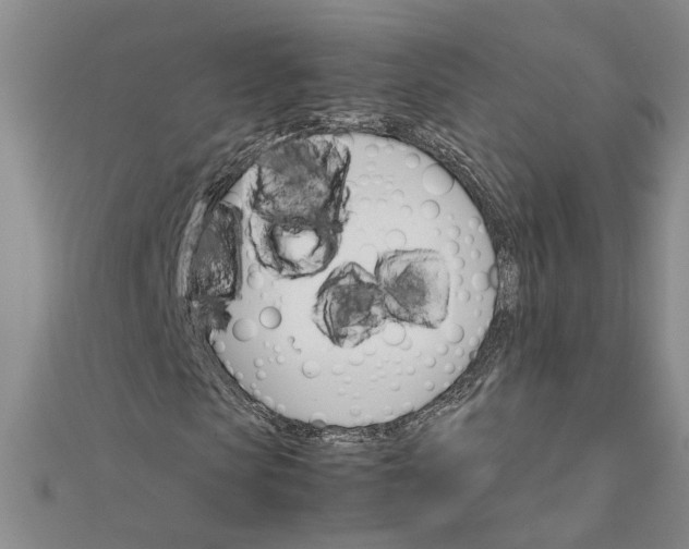 X0000111680913200908071422