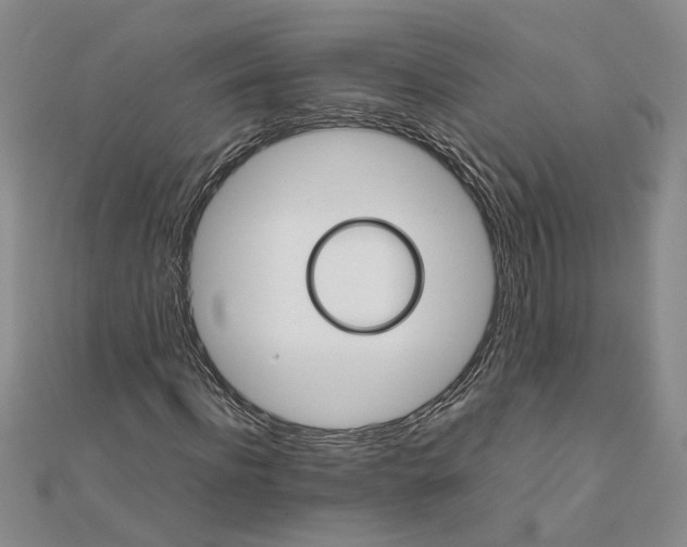 X0000111680916200908071422