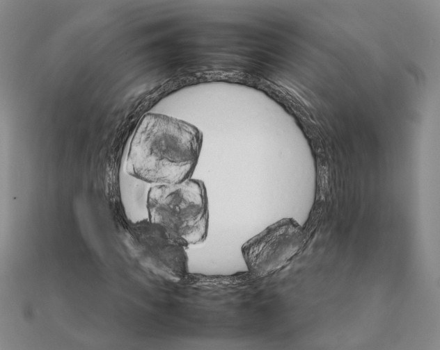 X0000111680917200908071422