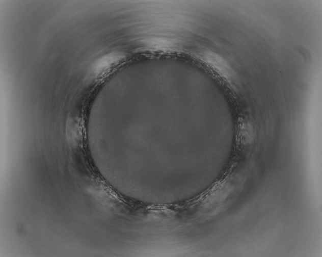 X0000111680918200908071422