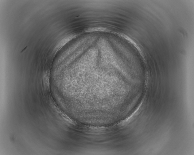 X0000111680921200908071422