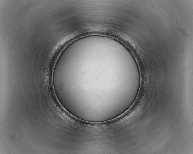 X0000111680922200908071422