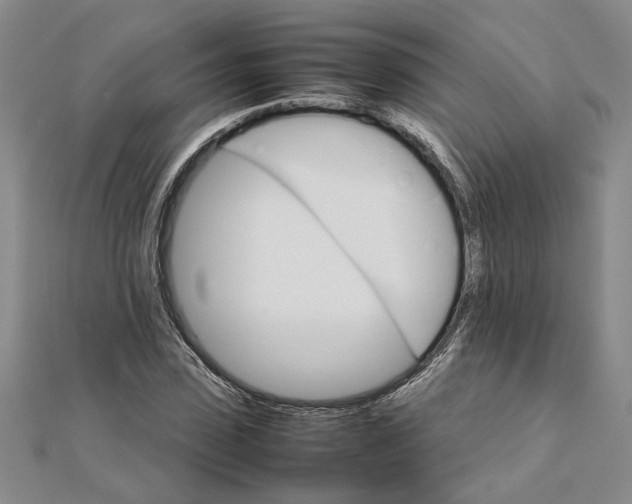 X0000111680923200908071422