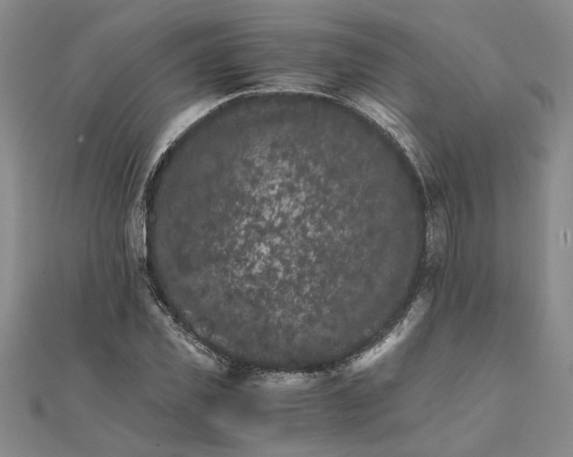 X0000111680925200908071422