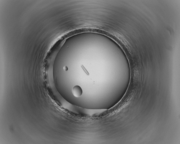 X0000111680926200908071422