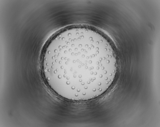 X0000111680927200908071422