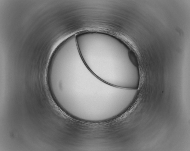 X0000111680928200908071422