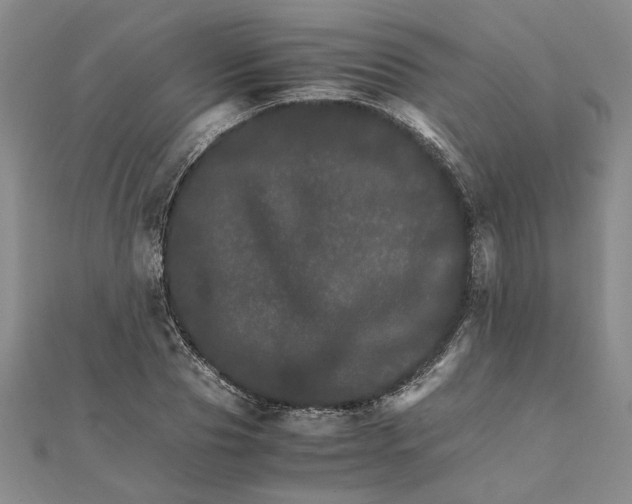 X0000111680929200908071422