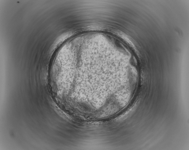 X0000111680930200908071422