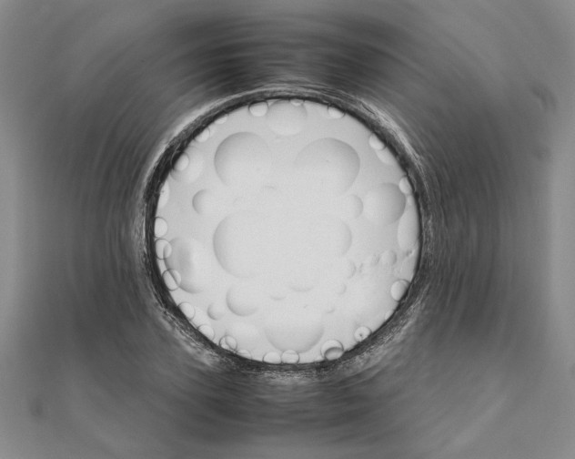 X0000111680931200908071422