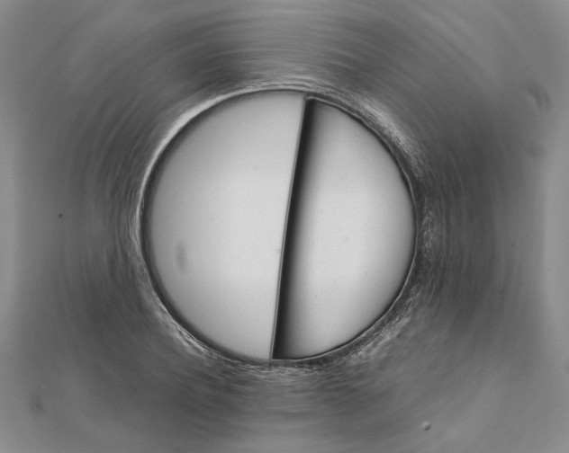 X0000111680932200908071422