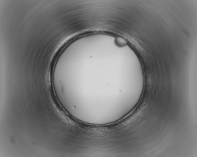 X0000111680934200908071422