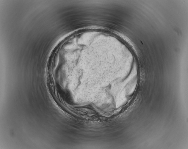 X0000111680935200908071422