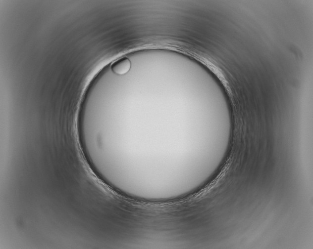 X0000111680936200908071422