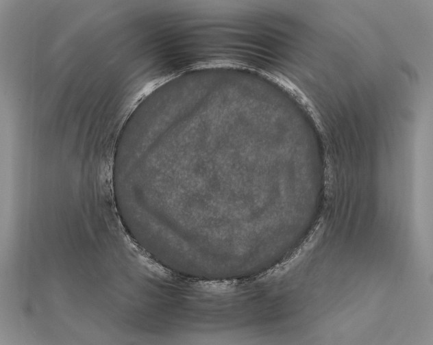 X0000111680937200908071422