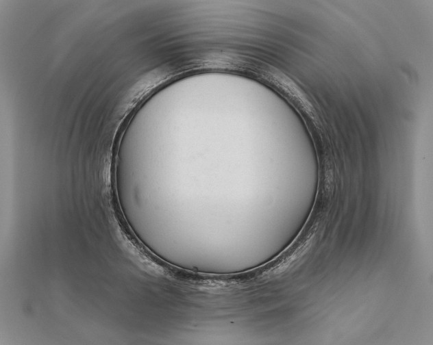 X0000111680938200908071422