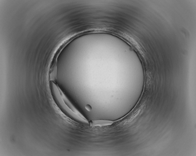 X0000111680939200908071422