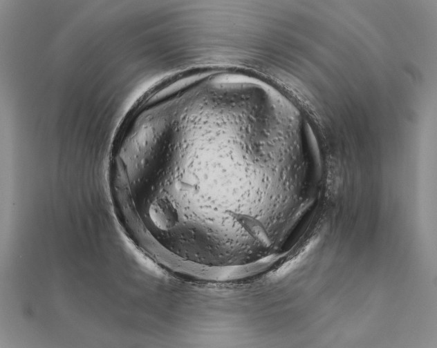 X0000111680942200908071422