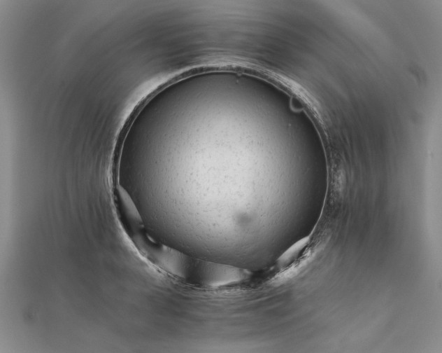 X0000111680943200908071422