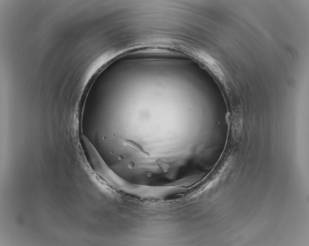 X0000111680944200908071422