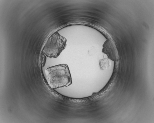 X0000111680945200908071422