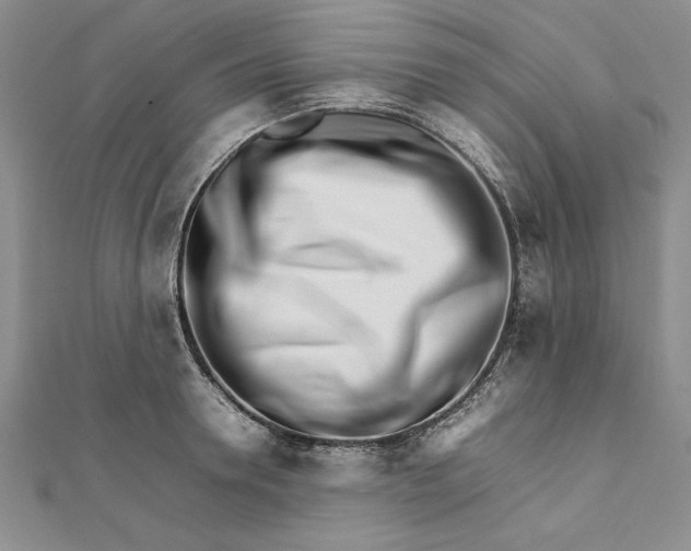 X0000111680946200908071422