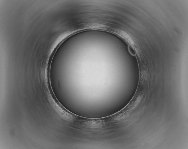 X0000111680947200908071422