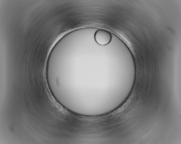 X0000111680948200908071422