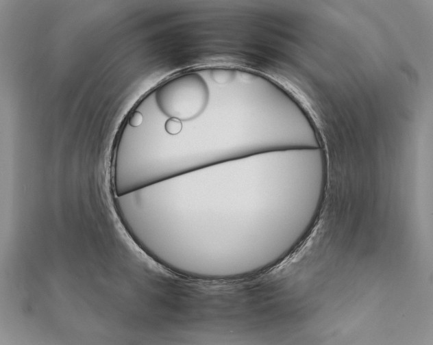 X0000111680949200908071422