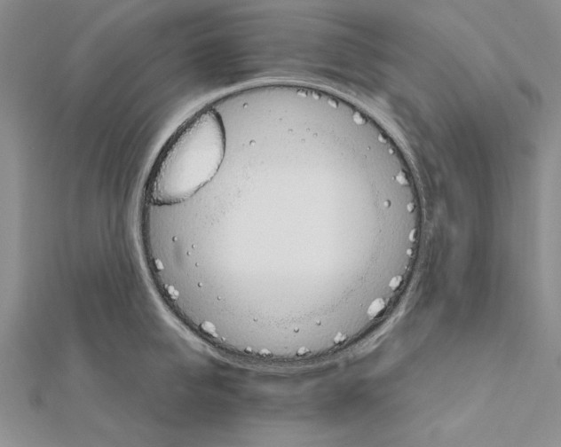 X0000111680950200908071422