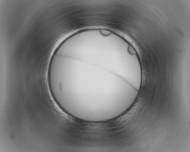 X0000111680951200908071422