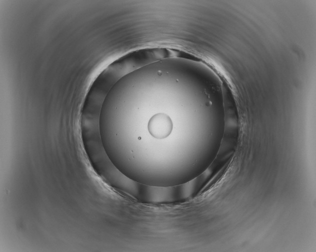 X0000111680952200908071422